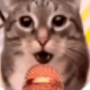 catonthemic Discord Emoji - Goober N' Chill 🐌