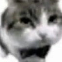 nohacenada custom emote | Mundo dos Animes - Br