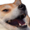 kek Discord sticker from Interact | Active Chats • VC • Hangout • Chill • Friends • Giveaways • Events • SFW
