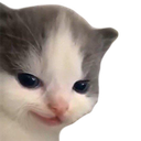 cathehehe Discord Emoji from Lanie's Corner