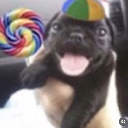 perrofeli2 custom emote from Roblox LatinoAmerica⭐