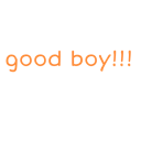Text reading good boy!! in a retro orange pixel font against a solid black background.