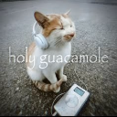 A cat wearing white headphones sits on the ground next to an iPod with the text holy guacamole overlaid.