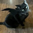 griffin_bat Discord sticker from The Lumberyard™