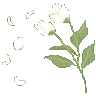 whiteflowers animated GIF emoji | ChekoVerse