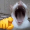 emoji_13 Discord Emoji from Dane's Cove