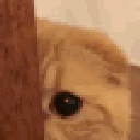 136245sneakycat animated GIF emoji | Sell Lemons | Roblox