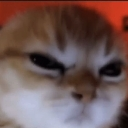 angrycat Discord Emoji - Goober N' Chill 🐌