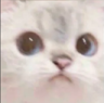 CAThmm Discord Emoji | Lust Garden18+ • "what happened" era