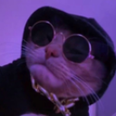 Cat wearing a black bucket hat and round sunglasses with a purple lighting effect.