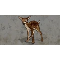 Flag_fawn_co Discord sticker | Odyssey