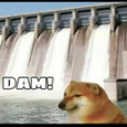 dam Discord Emoji from ♡ Dhadkan || Chill・Social・Dating・Hindi・Fun・Active・VC
