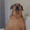 emoji_10 Discord Emoji | 𝐃𝐫𝐚𝐠𝐨𝐧 𝐊𝐢𝐧𝐠  | S1