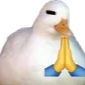 goosepra Discord Emoji - Nova Luna (新月)