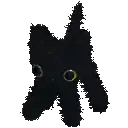 gato custom emote | 𝐓𝐡𝐞 𝐂𝐫𝐞𝐚𝐭𝐮𝐫𝐞 𝐏𝐥𝐚𝐲𝐩𝐞𝐧