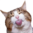 95 custom emote from 🦄🌸Gatos Cósmicos🌸🦄