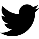 Twitter bird logo in a bright blue color.