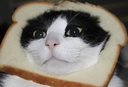 breadface Discord sticker | Dead Sheeps