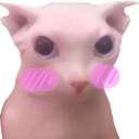 catbingusblush Discord Emoji from 𝘙𝘌𝘈𝘓𝘐𝘛𝘠 𝘈𝘞𝘈𝘐𝘛𝘚... but after 24.7