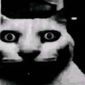 gatodemonho Discord sticker from QUATRO PAREDES