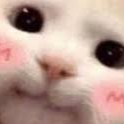 Meow Discord Emoji from Minecraft Server Finder