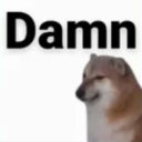 dAmN custom emote from Morality｜India