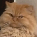emoji_9 custom emote from 𝖕.𝖙.𝖒