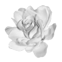 qrose2 custom emote | ﹙⌕﹚　﹫SYNTHERA　   𓂃⭑