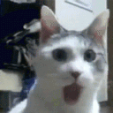 cnc_omg animated GIF emoji | CNC Club 18+