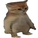 catstubby custom emote | Lanie's Corner