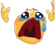 NOOOOOOOO Discord Emoji from /r/christians