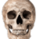 skull_real Discord Emoji - BlockMench