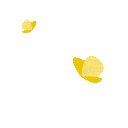 yellow animated GIF emoji - Lemniscate Network