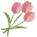 Three pink roses with green stems and leaves arranged in a small bouquet.