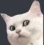 wth Discord sticker from Auralis ✦