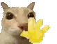 hello animated GIF emoji from 𓆣 Syf's Place 𓆣