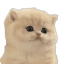 emoji_16 Discord Emoji from Arvelynx ™ | Social SFW