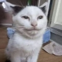 emoji_21 custom emote | Vibz