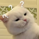 cat Discord sticker | 遊戲小鎮