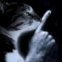 Cat face with a human hand held up to its mouth in a shushing gesture.