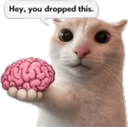 501481nobrain custom emote from Pyraea