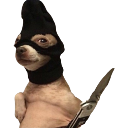 A small chihuahua wearing a black balaclava looking directly at the camera with a smug expression.