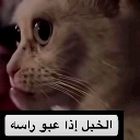 __ Discord Emoji - كبار الشريطيه | H 1