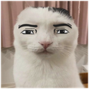 2278manfacecat custom emote | Finn's Friendlings