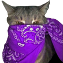 6483purplebandanacat Discord Emoji | CommunityOne Builders Help