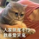 QAQcat custom emote | 遊戲小鎮