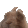 fph_vibinbunny animated Discord emote | The Content Cave🛖