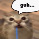 A blurry cat looking wide-eyed with a speech bubble that says guh.