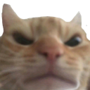 angrycat custom emote - Messi Official