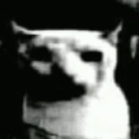 CatDespair Discord Emoji - Besties Community
